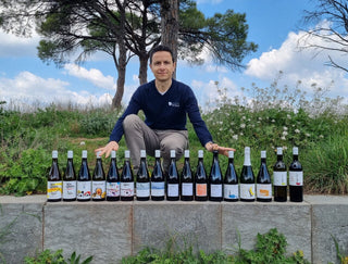 VINS PETXINA