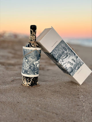 Seeanemonenmeer 2018