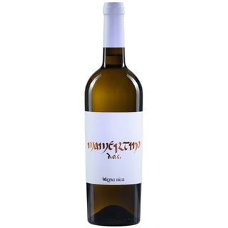 Mamertino Grillo Ansonica DOC 2025