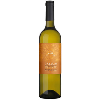 Caelum White Blend Reserva 2023