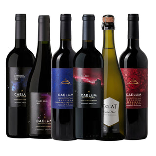 Caelum Discovery Box