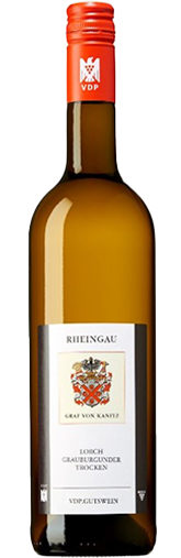 Pinot Gris Dry 2024