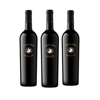 Paloma-Entdeckungsbox