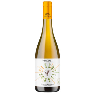 Der Weiße Fächer 2024 1+1